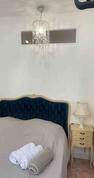 Magnifique Appartement Plein Coeur Avignon Intra-Muros Exterior foto